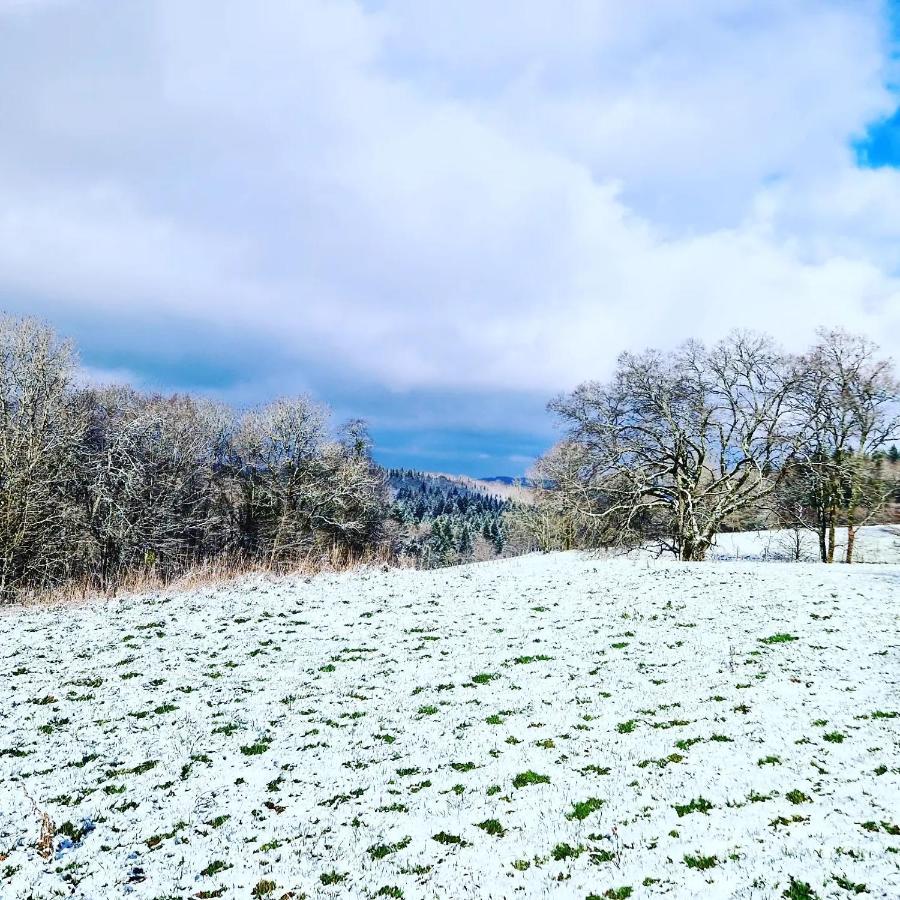 Calme Et Chaleureux Gite De Campagne. Voiteur Esterno foto